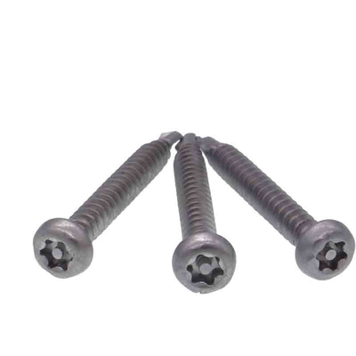304 201 vite di acciaio inossidabile Pin Head Torx Self Drilling manomette resistente
