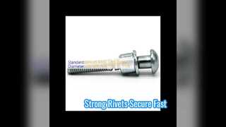 Rivetti SS zincati Magna Grip Huck Lock Bolt
